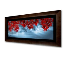 Original Limited Edition Acrylic Mounted Metallic Fine Art Photograph