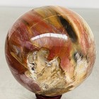 Natural Petrified Wood Polished Stone Quartz Crystal Sphere Ball Healing 1480G — photo 3