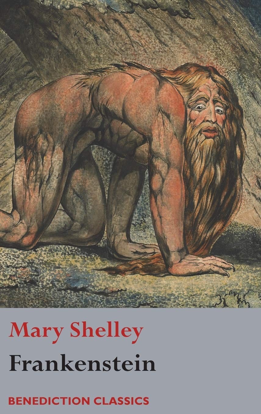 Frankenstein or The Modern Prometheus Mary Shelley Classic Fiction Book