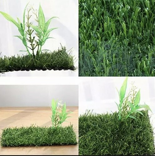 Crapelles Pac Ranas Vidrio Terrario Kit de Alimentación Tanque, Impermeable, para Anfi Pequeño - Imagen 4 de 8