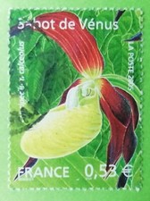 FRANCE 2005 - Oblitéré  YT n° 3764  "  ORCHIDÉE  SABOT DE VÉNUS "  CACHET ROND