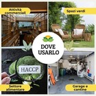Foto 7 di 10