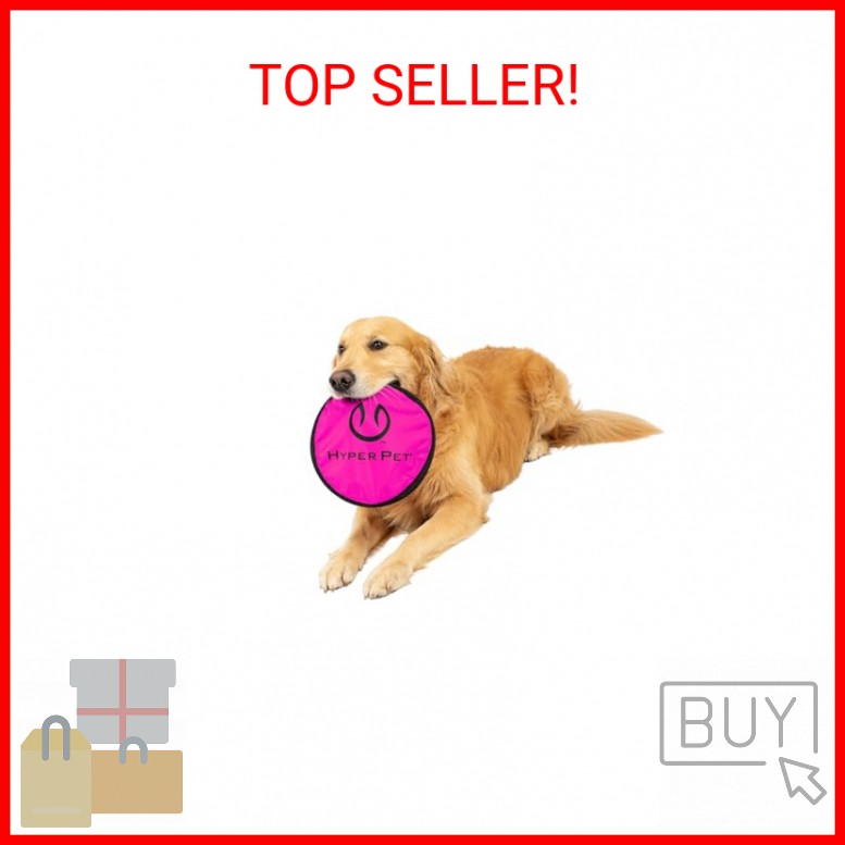 [flying Disc Fetch Toy
