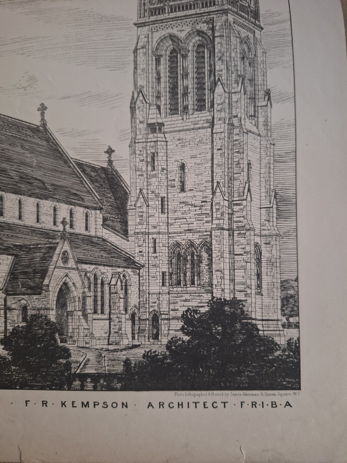 Picture 4