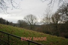 PHOTO  LOOKING TOWARDS WITCHES ALDERS 2009