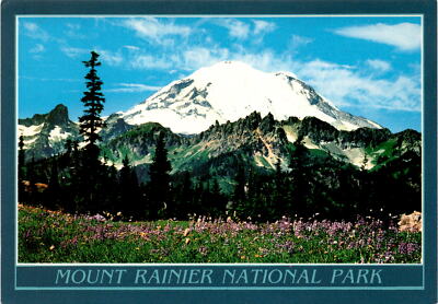MOUNT RAINIER NATIONAL PARK, Washington, Mt. Rainier, Daisies, Blue Postcard