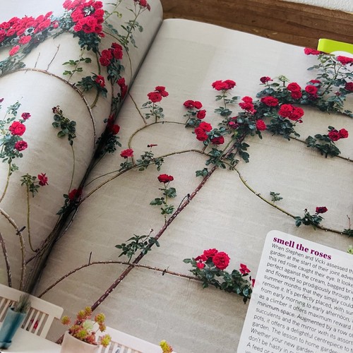 Gardening Australia Magazines x 3 Growing Small Spaces Bees Citrus Trees 2016 #g - Picture 15 of 24