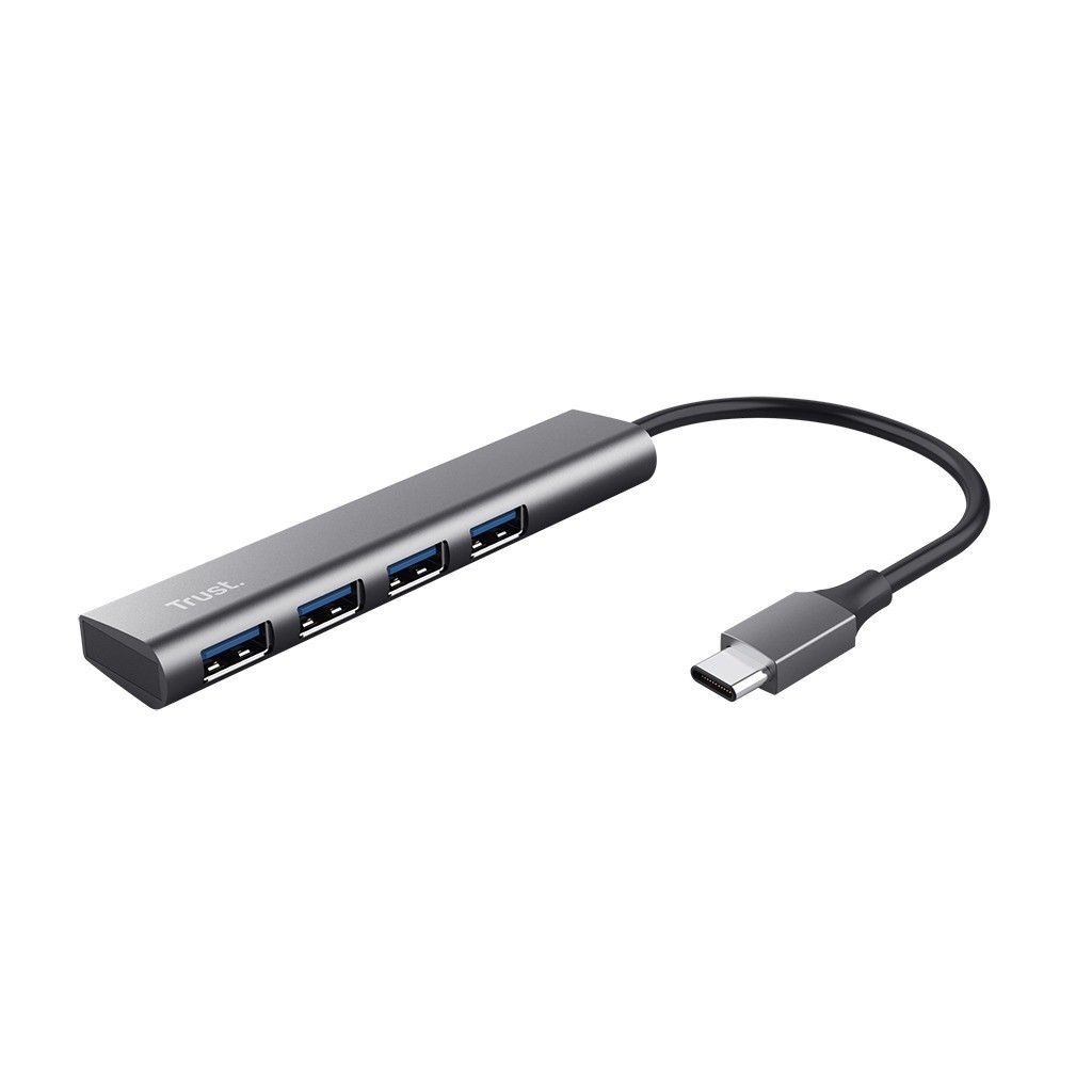 Trust Halyx USB 3.2 Gen 1 3.1 Gen 1 Type-A 5 Mbit/s Grey