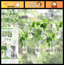 6 Pcs Window Plant Propagation Stations with Suction Cups, Easy Install Glass Va