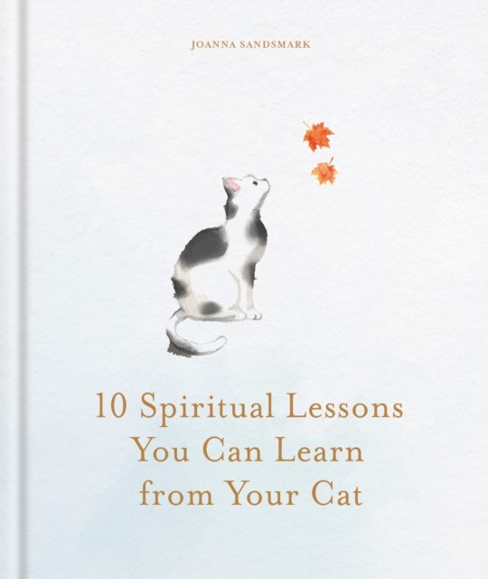 10 Spiritual Lessons You Can Learn From