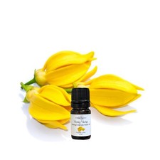 Ylang Ylang Essential Oil, Organic, Pure, Natural