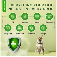 Dog Allergy  Itch Relief Drops  Natural Dog UTI Treatment