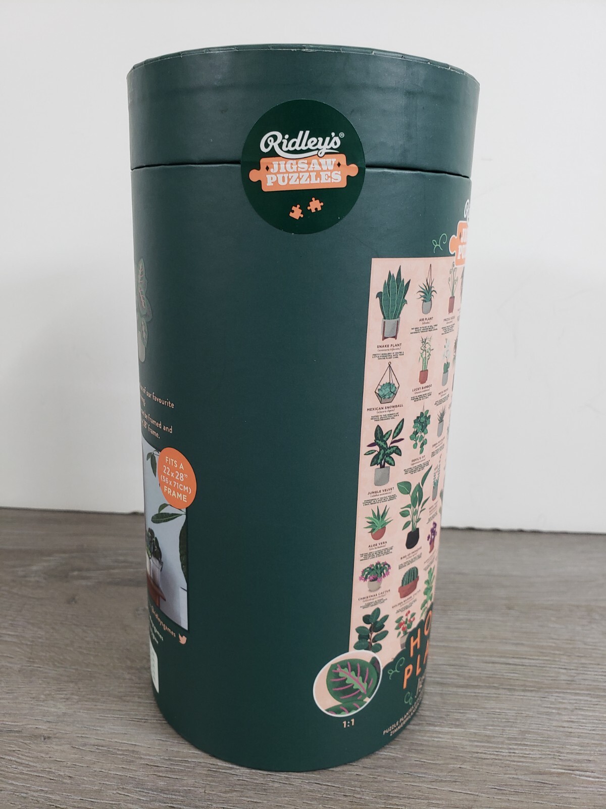 Ridley's HOUSE PLANTS Jigsaw Puzzle 500 Pieces NEW SEALED eBay