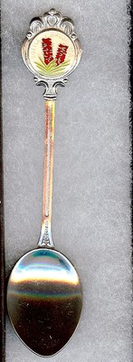#321) VERSILBERTE TEELÖFFEL FLASCHENBÜRSTE W.A. WESTERN AUSTRALIEN BLUMENPFLANZE