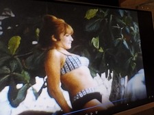PLAYBOY CLUB OCHO RIOS JAMAICA BIKINI GIRLS RIDE 8MM HOME Movie Film Ree G2U