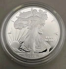 2020 W American Silver Eagle
