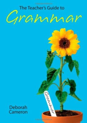 The Teacher's Guide to Grammar,Deborah Cameron