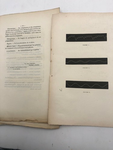Thèse - Etude expérimentale sur l'action thérapeutique et physiologique de l'ipé - Foto 5 di 5