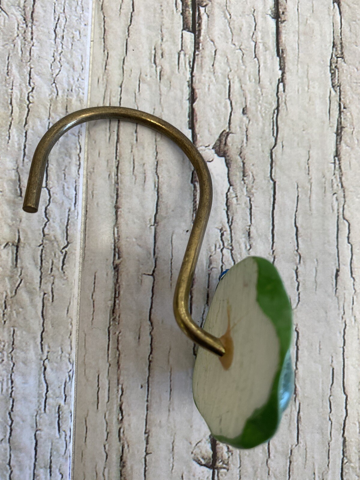 Foto 6 di 6