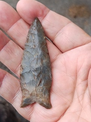 Best Southern Paleo Beaver Lake Point  Tenn River Valley 3'' Very Finely Made