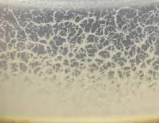 Microworm Starter Culture - Easy Live Food for Fry, Nano Fish, Guppy, Betta