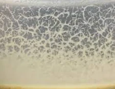 Microworm Starter Culture - Easy Live Food for Fry, Nano Fish, Guppy, Betta