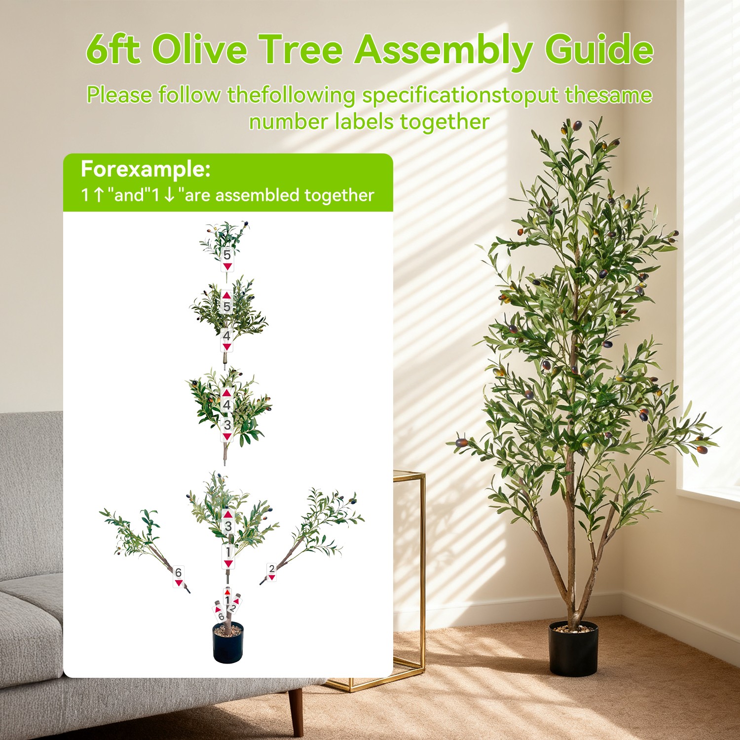 Picture 5 of 11
