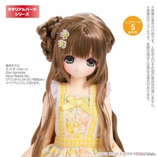 1/6 Azone Pureneemo Doll Hairpin Skeleton Flower (Clear White) (Fashion Doll)