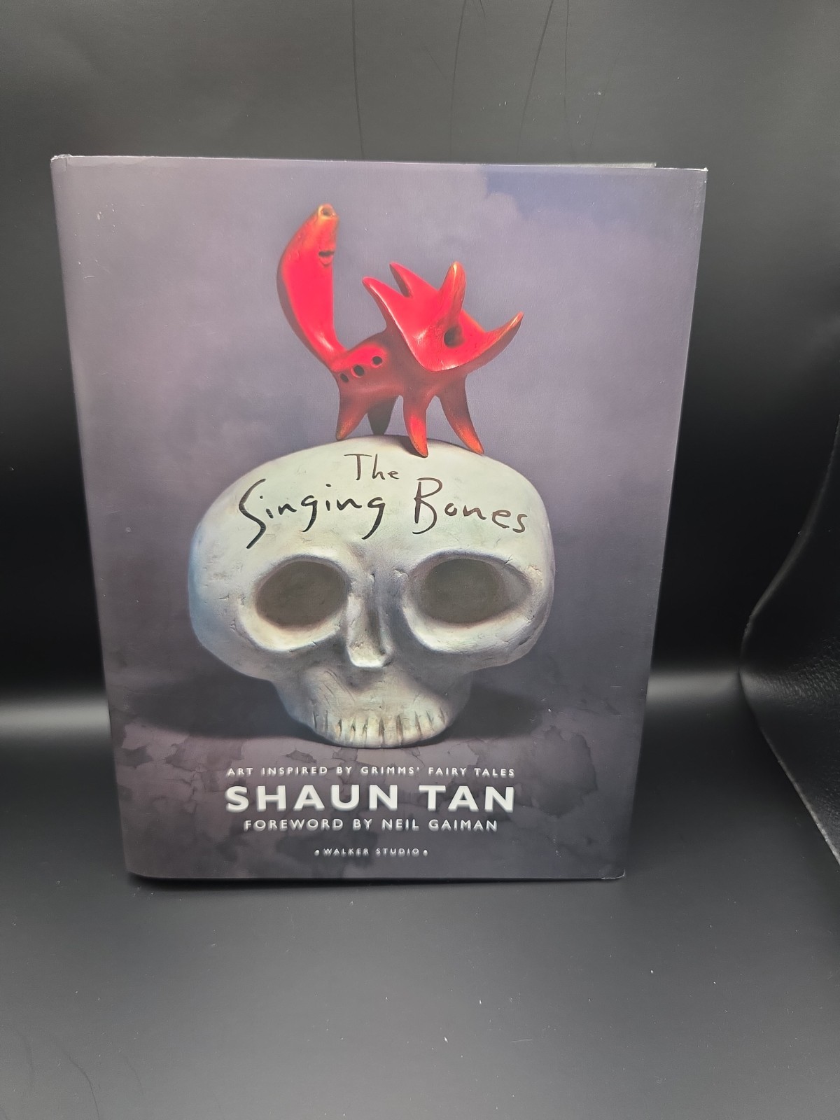 The Singing Bones Art Inspired By Grimms’ Fairy Tales Shaun Tan (Hardcover)