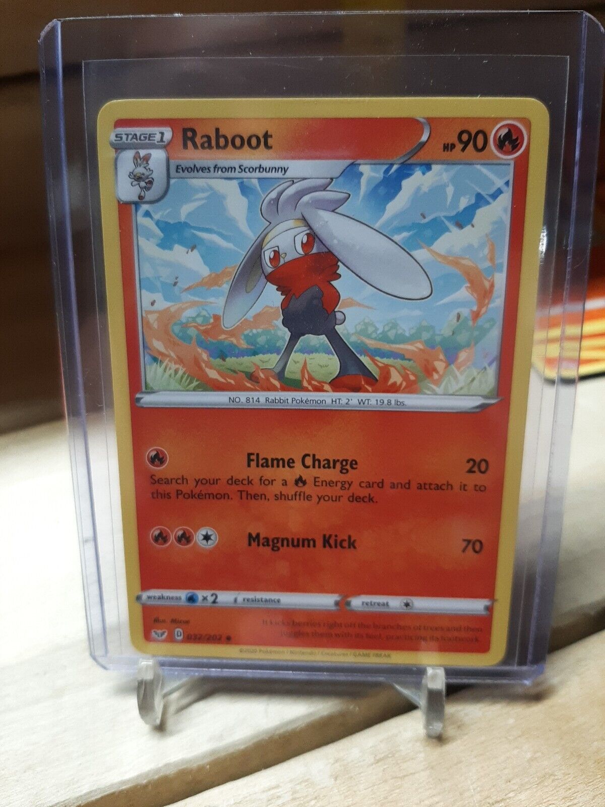 Raboot 32/202 - Sword & Shield - Uncommon - Pokemon Card TCG