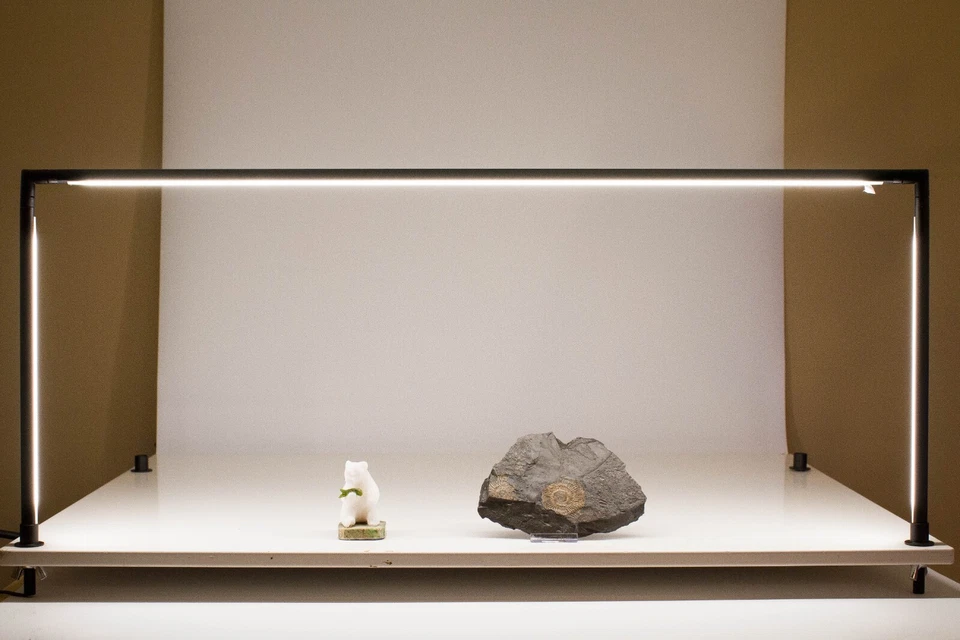 Витрина светодиодный свет, горизонтальный полюс света для витрины 13 «17» 28» FY-H2 - Изображение 3 из 4