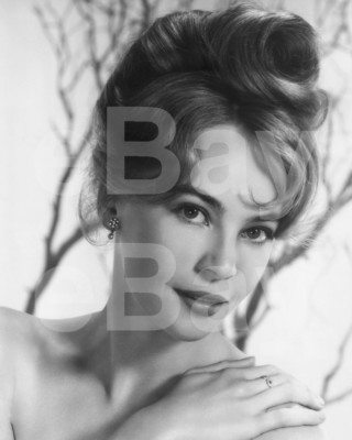Leslie Caron 10x8 mit Foto
