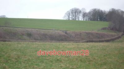 FOTO HUND AUF BAUERNHOF EISENBAHNBRÜCKE (GASSE) STATT AUF EINEM ZUGBETRIEB