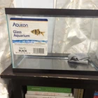 Glass Aquarium  Aqueon Fish Turtle Tank