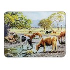 Ashdene Kitchen GLASS Grazing Paddocks By The Creek Surface SaverLIFE