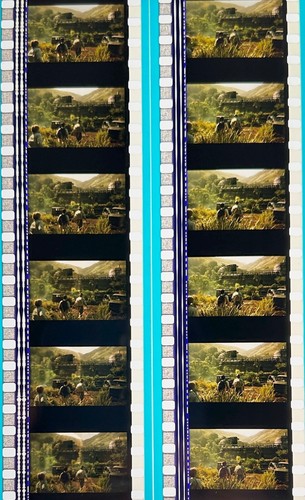 Jurassic Park 3 2001 Very Rare Unmounted 35mm Film Cells - Picture 48 of 51