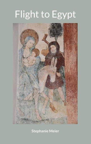 Flight To Egypt Stephanie Meier Taschenbuch Kartoniert / Broschiert Englisch-image