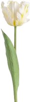 Clayre & Eef 5PL0385W Dekoration Zweig Mit Blumen Weiß-GrüN 61 Cm
