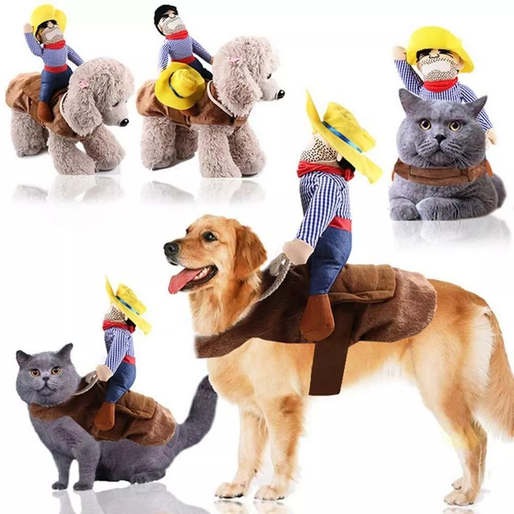 Xl hotsell dog outfits