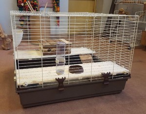 maxi animal hutch