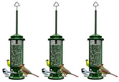 Brome Squirrel Buster Legacy Bird Feeder