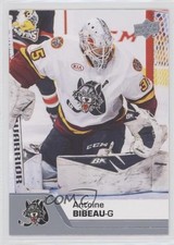 2020-21 Upper Deck AHL Antoine Bibeau #14 e6j