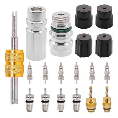 19 Piece Kit of Air Conditioning Valves, Cooling Valves1649