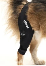 Dog Left Leg Hinged Brace With Connector Belt