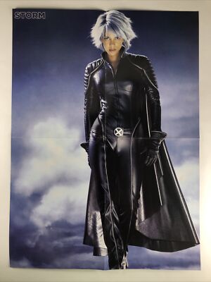 Storm Halle Berry X Men 3 The Last Stand Movie Marvel Comics Poster 16 X22 Ebay