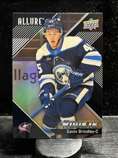Rc Gavin Brindley #136 2024-25 UD Allure Black Rainbow Columbus Blue Jackets