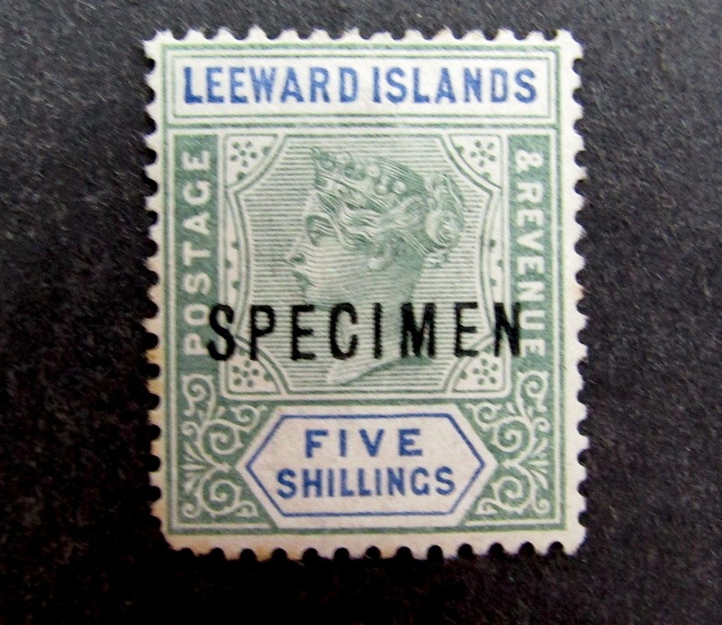 nystamps British Leeward Islands Stamp # 8 Mint OG H Specimen $200 L10y2070