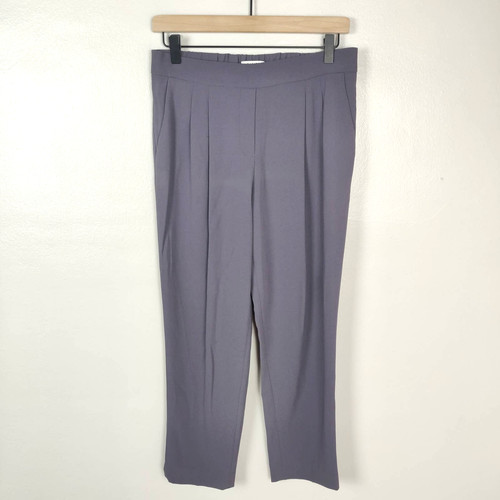 Aritzia Babaton Straight Leg Chino 