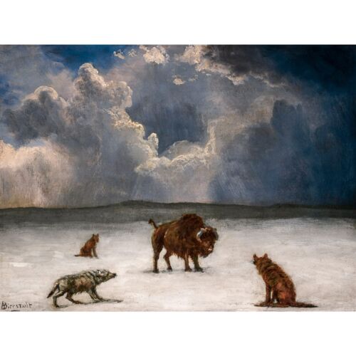 Albert Bierstadt, Trapped, 1850, Canvas Print, 18" x 24" + Border - Picture 1 of 10