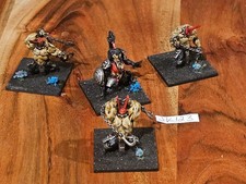 Cool Mini or Not Wrath of Kings House Nasier Pelegarth Brutes Painted x4
